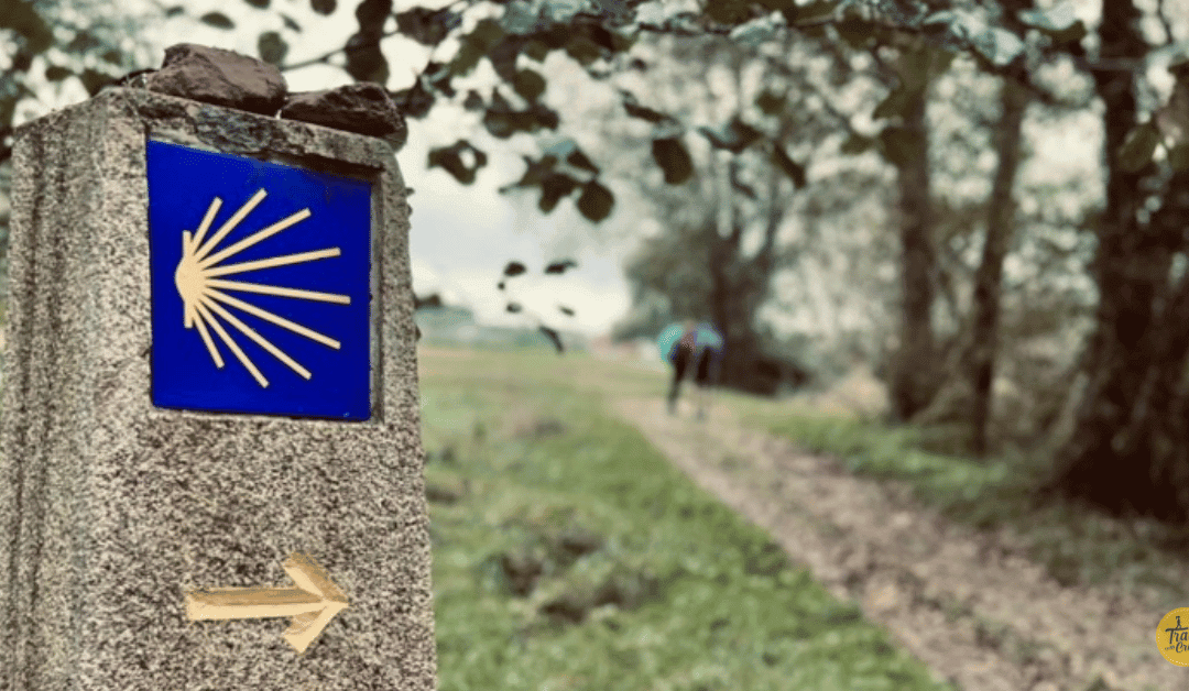 Cammino Inglese: Tutto quello che c’è da sapere