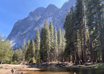Yosemite National park - California